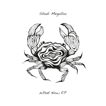 Shadi Megallaa (ft. Melchior Production Ltd Remix) - What Now - Seaweed Rhythm Shadi Megallaa (ft. Melchior Production Ltd Remix) - What Now - Seaweed Rhythm