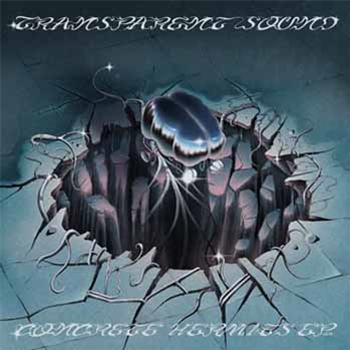 Transparent Sound - Concrete Hermits EP - StandUP Records