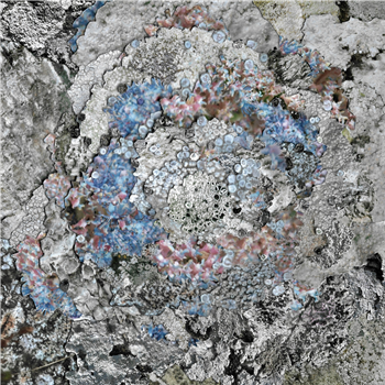Kinzua - The Current Thing - Confusion is next to happiness