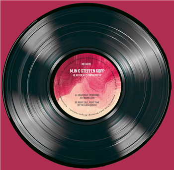 M.IN & Steffen Kopp - Heartbeat Symphony - Music is the Answer