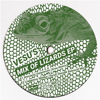 Vesus - Mix Of Lizards EP (Area, Torolf Stendik, 03SIDIAN, Otto Taimela) - Meltdown Deejays Recordings Vesus - Mix Of Lizards EP (Area, Torolf Stendik, 03SIDIAN, Otto Taimela) - Meltdown Deejays Recordings