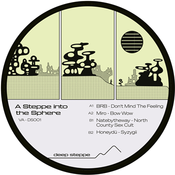 Various Artists - A Steppe Into The Sphere - Deep Steppe