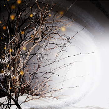 Winterlight - Winterlight LP - 2x12" - Winterlight Recordings