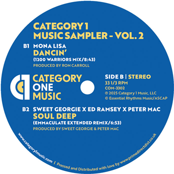 Terry Dexter / Ron Carroll / Ed Ramsey / Eric Kupper - Category 1 Music Sampler - Vol. 2 - Category 1 Terry Dexter / Ron Carroll / Ed Ramsey / Eric Kupper - Category 1 Music Sampler - Vol. 2 - Category 1