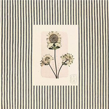 Jeigo - Etum (2xLP) - Fleurella