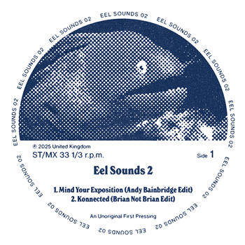 EEL SOUNDS 2 - VA - DINKED 7" - EEL SOUNDS