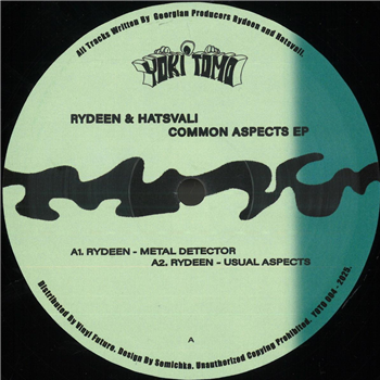 Rydeen & Hatsvali - Common Aspects EP - Yoki Tomo Records Rydeen & Hatsvali - Common Aspects EP - Yoki Tomo Records