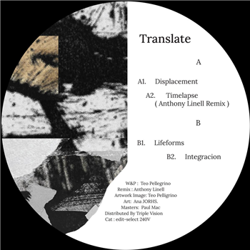 Translate - Displacement - Edit Select Records