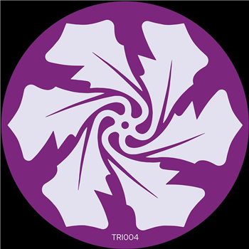 Trash Theory / D.F.N. - The Rose Island