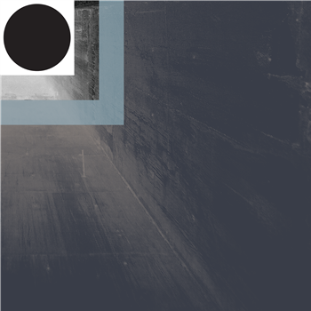Conna Haraway - Shifted - Short Span