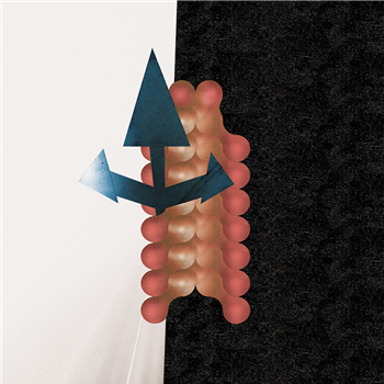 Wata Igarashi & Polygonia - Cross Passage - Reclaim Your City Wata Igarashi & Polygonia - Cross Passage - Reclaim Your City