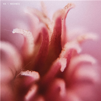 VA - NECH032 - NECHTO Records VA - NECH032 - NECHTO Records
