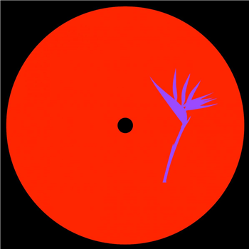 Domo (ES) - Nonsense EP - Purple Print