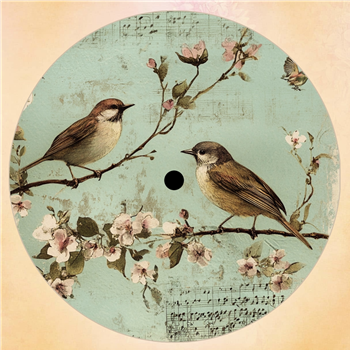 Putsch 79 - Birdz EP - The Comfort