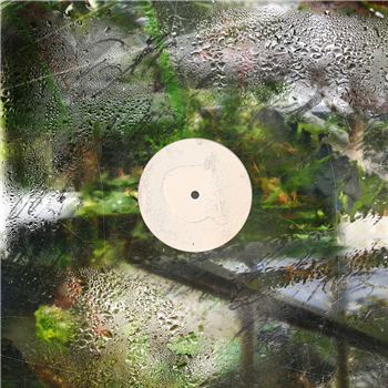 OK EG - Silent Green - Animalia