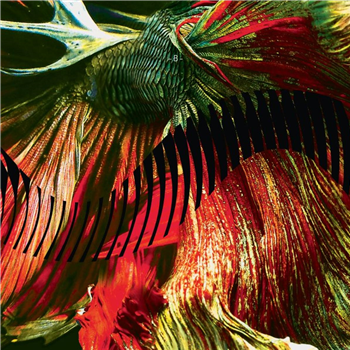 Volen - Validation Rhizome - Rhizome