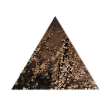 Terre Thaemlitz - Soil (30th Anniversary Edition) - Gatefold 3LP - Comatonse Recordings Terre Thaemlitz - Soil (30th Anniversary Edition) - Gatefold 3LP - Comatonse Recordings