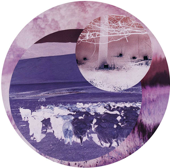 Tonchius - Waiting for Tee EP - Continually