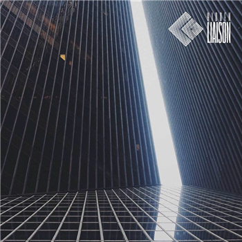 Robotnik3000, sn33ze, Late Night Protocol, Ian Daniels - HLR002 - Hidden Liaison Recordings