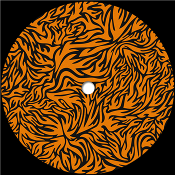 Roman Flügel - Cooking The Books EP - Phonica Records