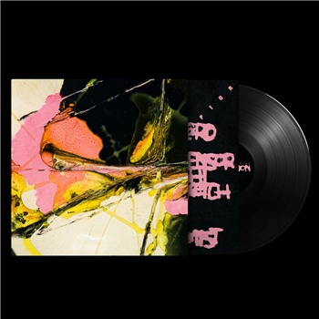 Jensen Interceptor - Interception - International Chrome