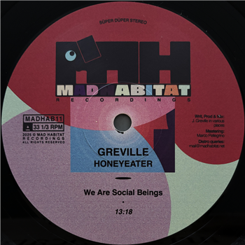 Greville - Honeyeater - Mad Habitat