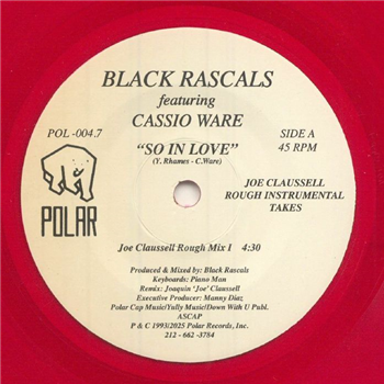 Black Rascals (Joe Claussell Remix)
 - Polar