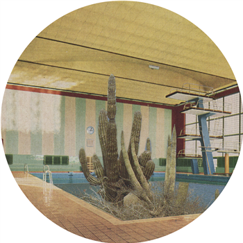 Ste Roberts & Jacob Dwyer - A Body In A Body EP - Private Parts