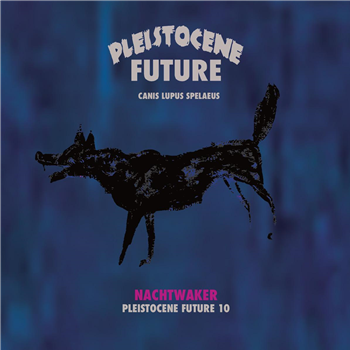 Nachtwaker - Pleistocene Future 10 - Pleistocene Future