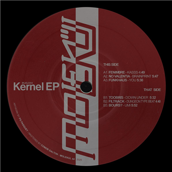 Various Artists - Kernel EP - Molekül 