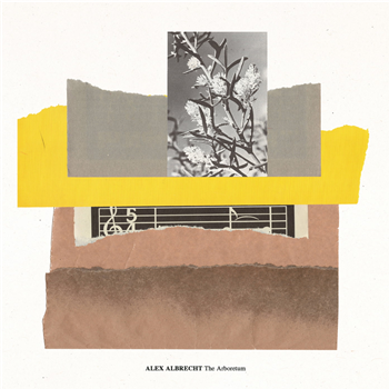 Alex Albrecht - The Arboretum - Butter Sessions