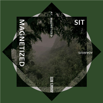 SIT - Magnetized - Adams Bite