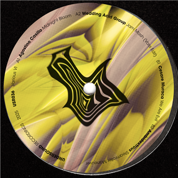 Agostino Casillo, Ambidextrous, Cesare Muraca, Wedding Acid Group - Various VI - Undersound Recordings Agostino Casillo, Ambidextrous, Cesare Muraca, Wedding Acid Group - Various VI - Undersound Recordings