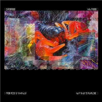 Bicep - CHROMA - 2x12" - Chroma Bicep - CHROMA - 2x12" - Chroma