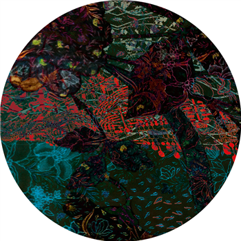 Ian Pooley - Floris EP - Innervisions
