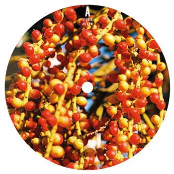 JOÃO COMAZZI & MURRIN - SOL NOVO - SOUND OF SPEED JOÃO COMAZZI & MURRIN - SOL NOVO - SOUND OF SPEED