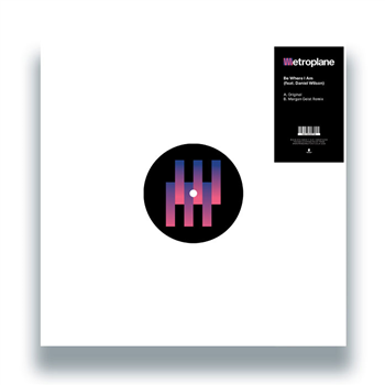 Metroplane - Be Where I Am (feat. Daniel Wilson) - Sweat It Out