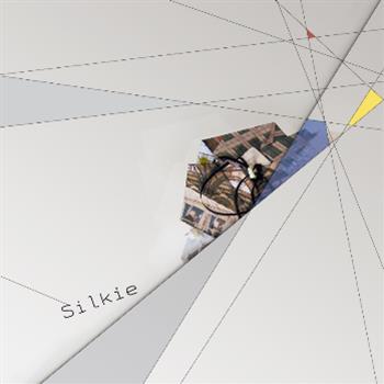 Silkie  - Deep Medi Musik