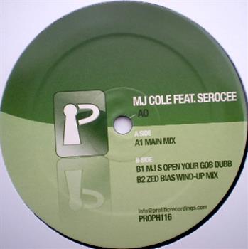 MJ Cole feat. Serocee - Prolific Recordings