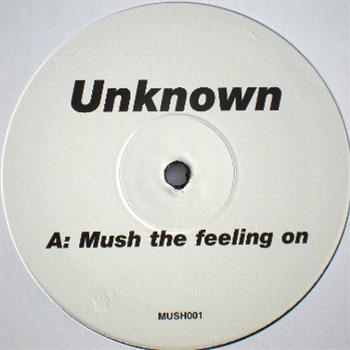 Unknown Artist - MUSH001