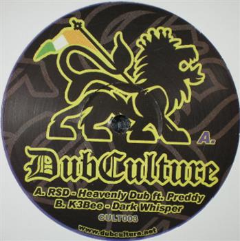 RSD feat. PREDDY / K3BEE - DUB CULTURE