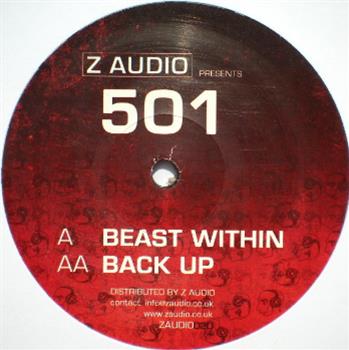 501 - Z Audio