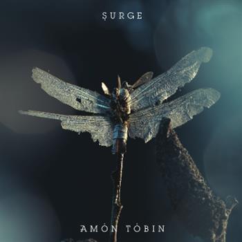 Amon Tobin - Surge - Ninja Tune