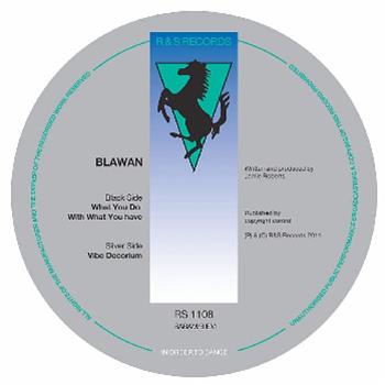 Blawan - R and S Records