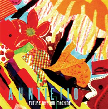 Auntie Flo - Future Rhythm Machine LP - Huntleys & Palmers