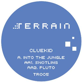 Cluekid - Terrain Records