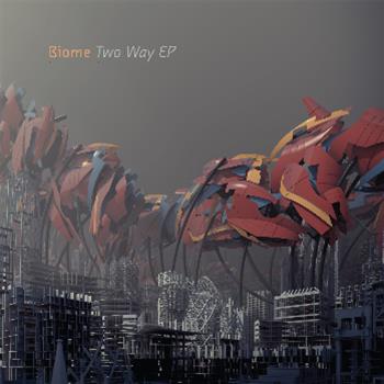 Biome - Black Box