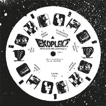 Ekoplekz - Intrusive Incidentalz Vol 2 - Punch Drunk Records