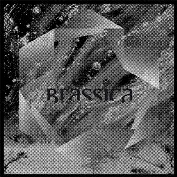 Brassica - TEMPLE FORTUNE EP Inc. Download - Civil Music