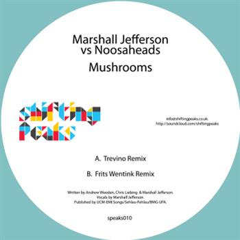 Marshall Jefferson vs Noosaheads - Shifting Peaks